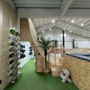 스케이트보드 기초 이미지