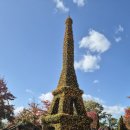 대전 유성국화축제 2025 ㆍ11 ㆍ2 이미지