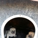 풍산농장 이미지