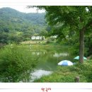 안국지 이미지