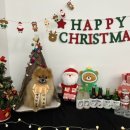 디저트댕 이미지