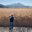 조정래벽화마을 이미지