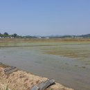 구인농장 이미지