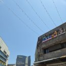 제주 창작무 | 제주 서귀포 올레시장 먹거리 쇼핑 후기 기념품못참지