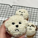 복기애견 | 강아지 펫푸드학원 멍피자 만든 후기!