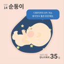 솔솔케이크