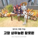광주 근교 전남 할로윈 2022 고창 상하농원 할로윈 파티 방문 후기