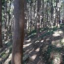 덕천3동-3 이미지