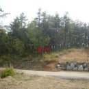 여주-0980 이미지