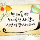 아침햇살담은농원