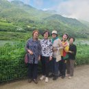 풀잎하우스 이미지