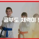 용인대 도곡 태권도장 이미지