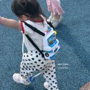 군산오토카서비스 | 19개월 아기랑 캠핑 ! 전북 군산 청암산 오토캠핑장 시설 솔직후기