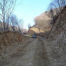 히든밸리켄넬 이미지