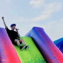 날아라 햄찌 이미지