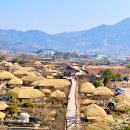 춘하추동민박 | 순천 낙안읍성 민속마을 홍매화(ft.한복 원피스 리클랫킴)