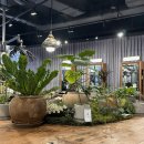 주경 | 판교미용실 준오헤어 판교알파돔시티점 주경디자이너 커트 헤어클리닉 후기