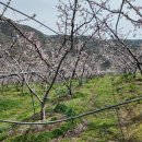 앞섬농장 이미지