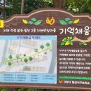 치매안심센터 후문 이미지