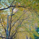 양재시민의숲역 1번출구 이미지