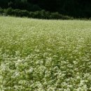 호영농장 이미지