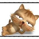 게으른고양이 이미지