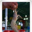 대하통상 이미지