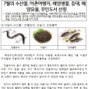 청호동 (신)방파제 | 7월의 수산물 뱀장어---해양수산부 선정