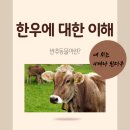 대학로3L | 반추위와 한우 사육 단계별 관리법