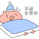 춘천원조숯불닭갈비 이미지