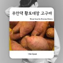 배송대장 | 무안댁 황토대장 고구마 구매 후기｜배송·포장·맛까지 솔직 리뷰