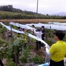 대신동 주민센터 이미지