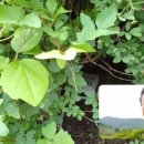 김동식스튜디오 이미지