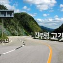 진부령막국수