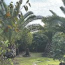 노을이 아름다운 펜션A 이미지