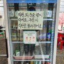 노가드네 이미지