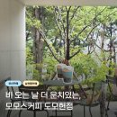 안정이동민원실 회의실(본관2층) | 부산 비오는날 갈만한곳 남천동카페 모모스커피 도모헌점
