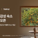 감성경로당 이미지