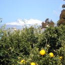 이슬농장 이미지