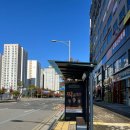 유가읍 테크노제일약국 앞 이미지