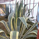 형주병원 이미지