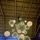 대형카페 포레스트 아웃씽 이미지