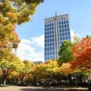 부산씨푸드플랫폼 이미지