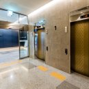 블루마리 이미지