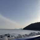 방갈로끝집 | 내돈내산 부산 청사포 야장 감성 미쳤던 끝집 방갈로 장어구이 후기