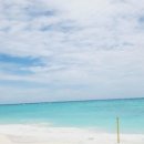 CoCo멍(코코멍) 이미지