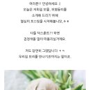 도그마루 강아지고양이 김해창원점 이미지