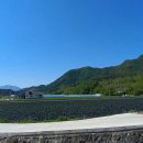 효석문학100리길 제2구간 이미지