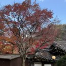 우이마루 | 우이동카페 | 마지막 단풍사냥을 떠났던 서울 한옥카페 <선운각> 🍁🍂