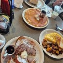 TWENTYNINE29(투웬티나인29) | 조슈아 트리 국립공원 Day 2